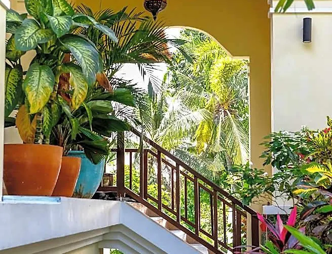 Homestay Mata Hari Panji